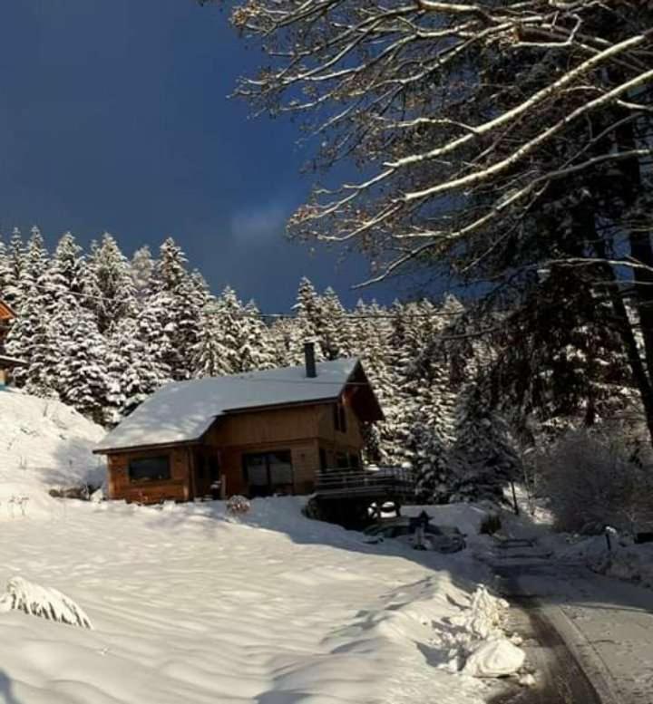 Les Marmottes Gerardmer